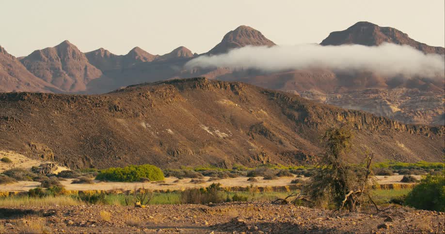 The view is of the nature area and you can see mountains