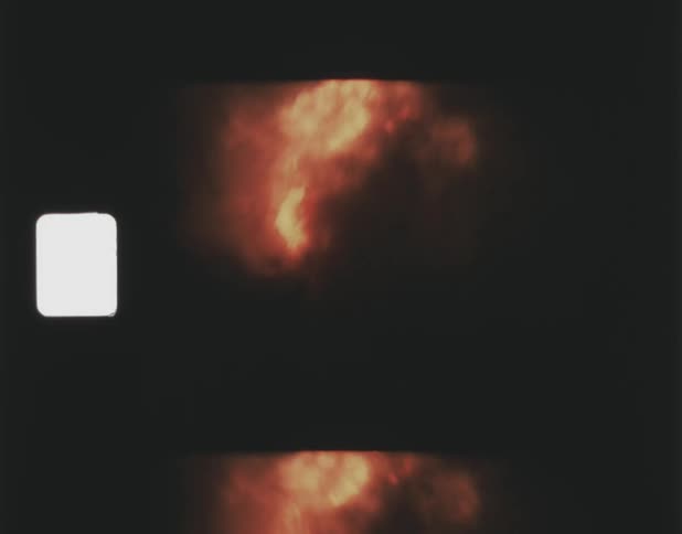 Fire rises over trees in the darkness of the night sky and the smoke is illuminated by the blaze