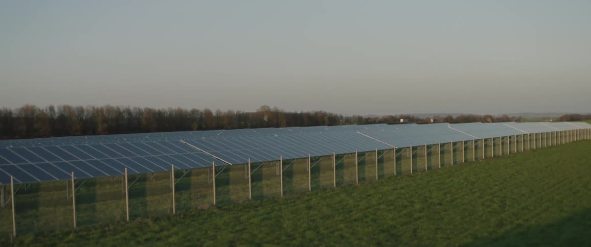 Array of solar panels in a field at sunset