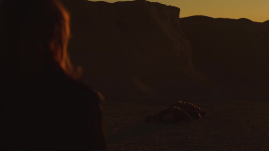 A person is standing before the mountain