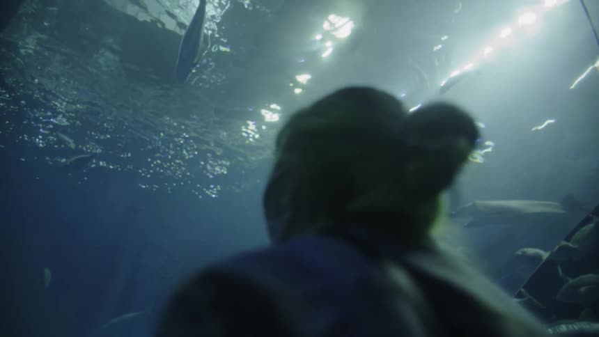 A woman looking at fish swimming in a large aquarium