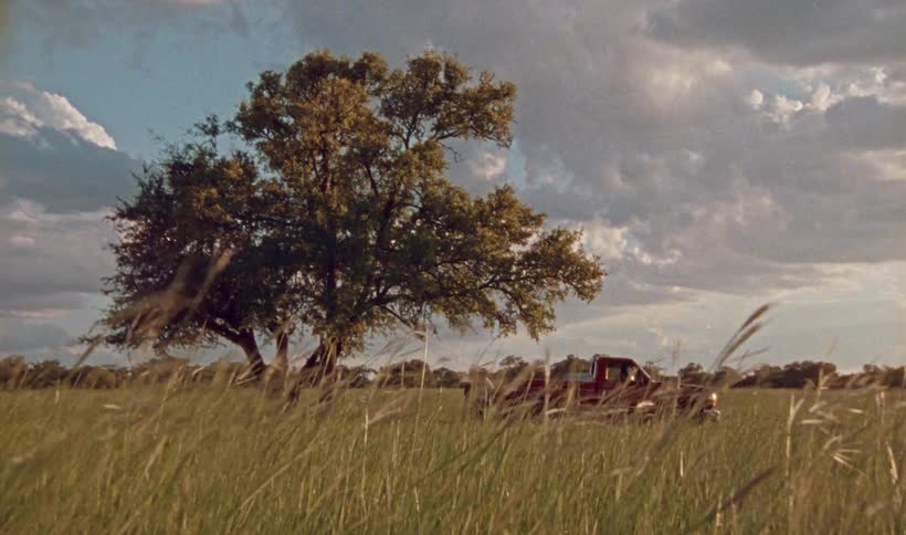 The camera moves up out of tall grass to reveal two people near a red truck under a tree in an open field