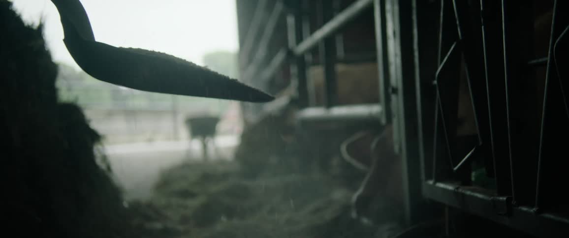 A farmer shovels feed inside a pig pen