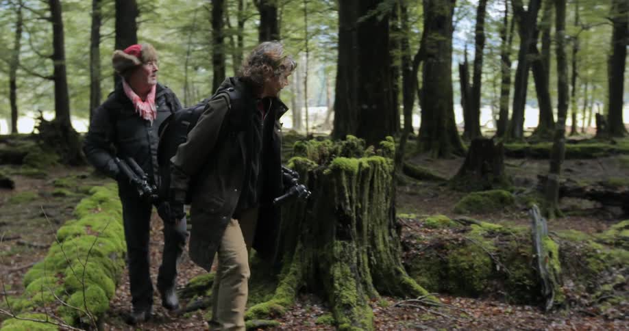 Two photographers walking through a mossy forest