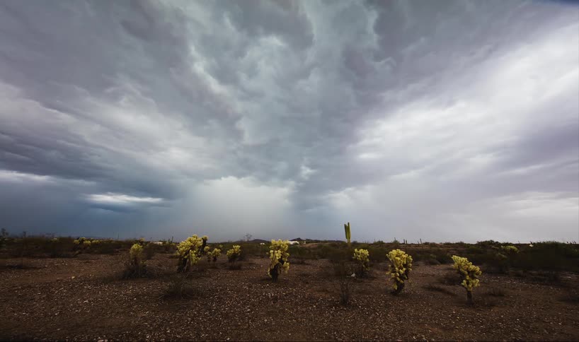 A field has large rain clouds in the distance