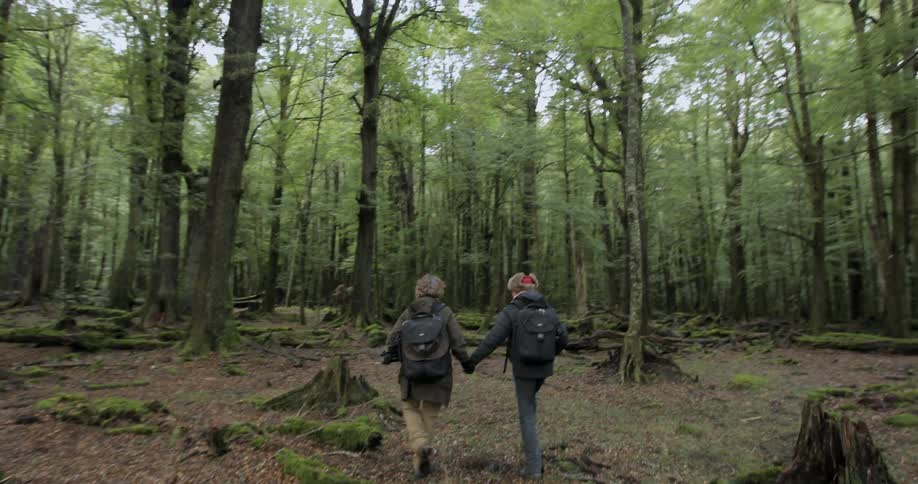 Two hikers walk through a dense forest