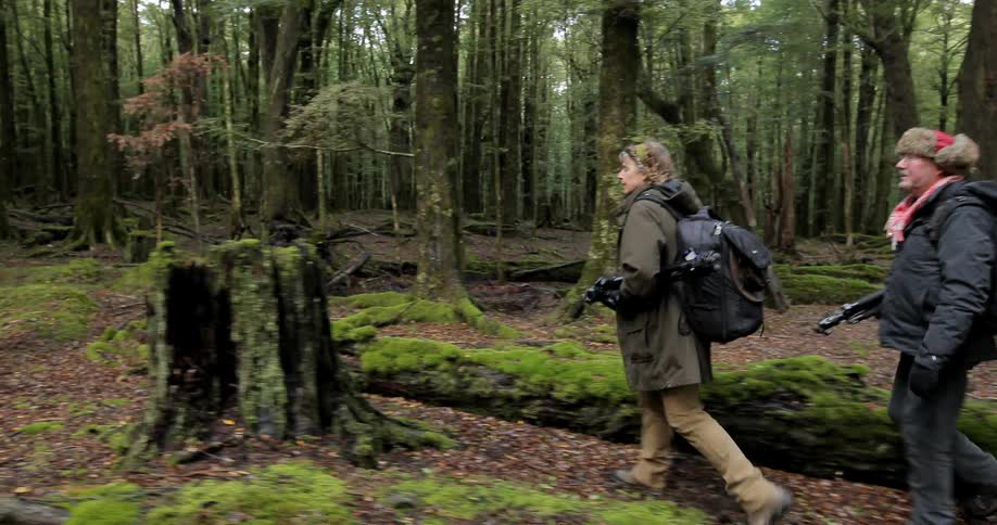 Two people hike in the woods with camera equipment