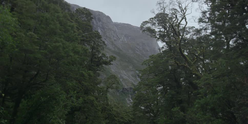 A mountain seen through  rows of trees