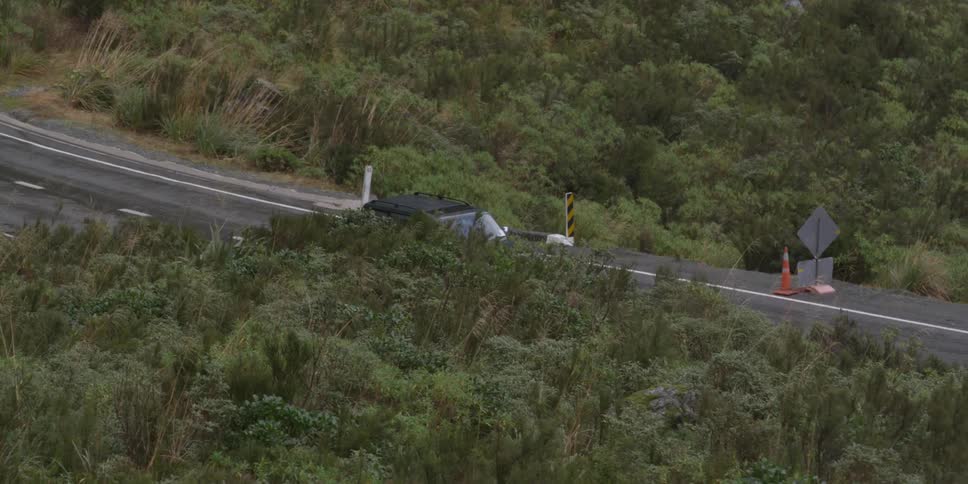 A jeep drives down a tree lined road