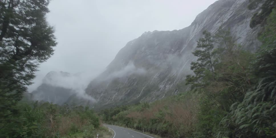 Trees line a mountain road on a cloudy day