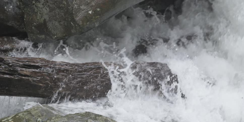 Water crashes against rocks and a fallen tree