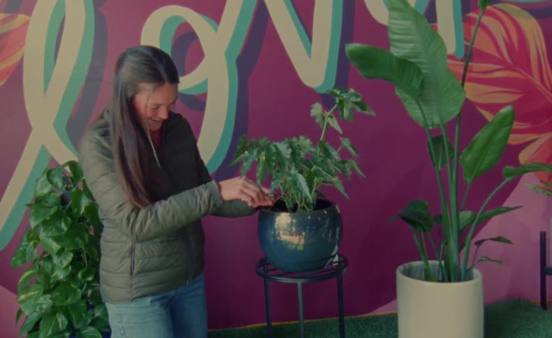A woman is cutting plants in her garden