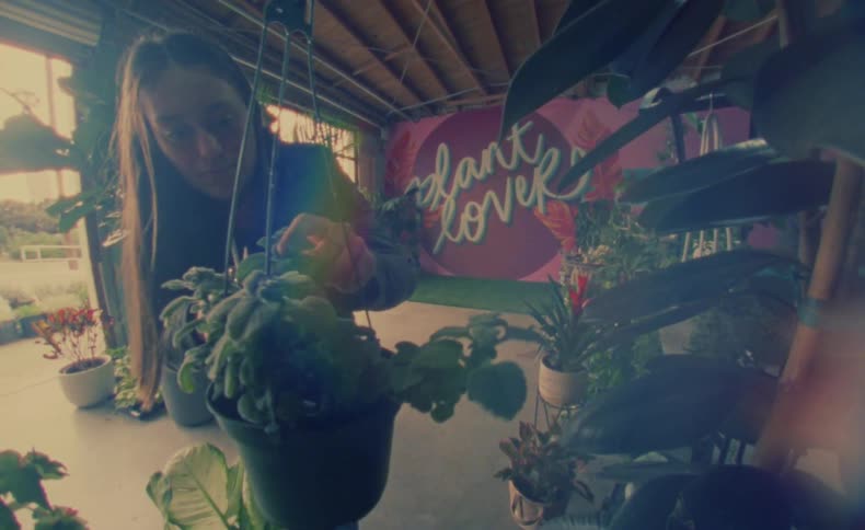 A woman reaches for a hanging vase and clips her plant