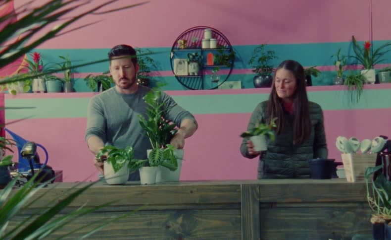 Man and woman are planting flowers together indoors