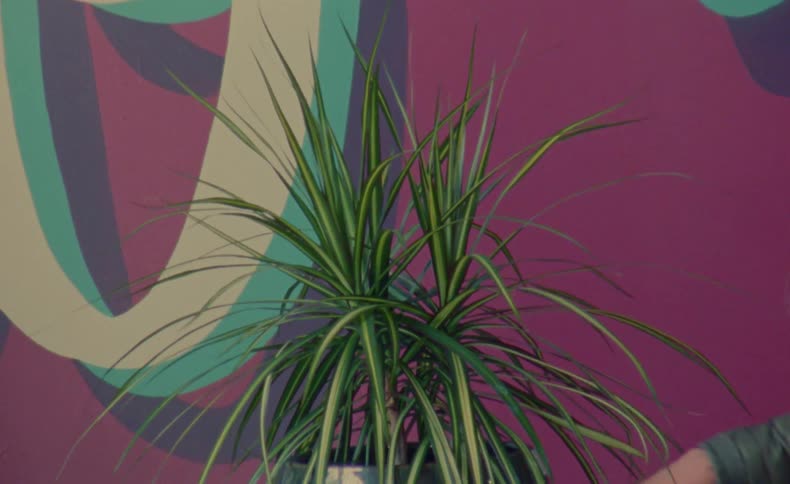 Woman wearing a coat trims long leaves on potted plant set near mural