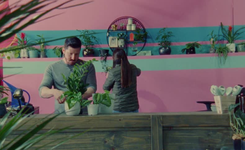 Coworkers prepare plants to be displayed in plant store