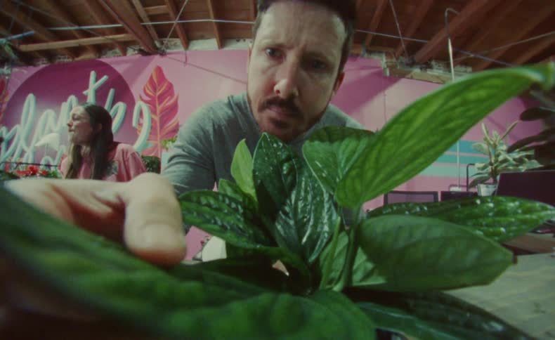 A man touches and inspects the leaf of a potted plant in his store