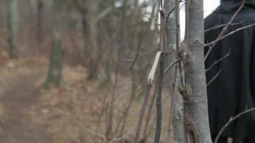 A person walks past a small tree