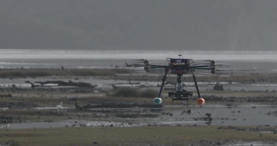 A drone flies over the beach