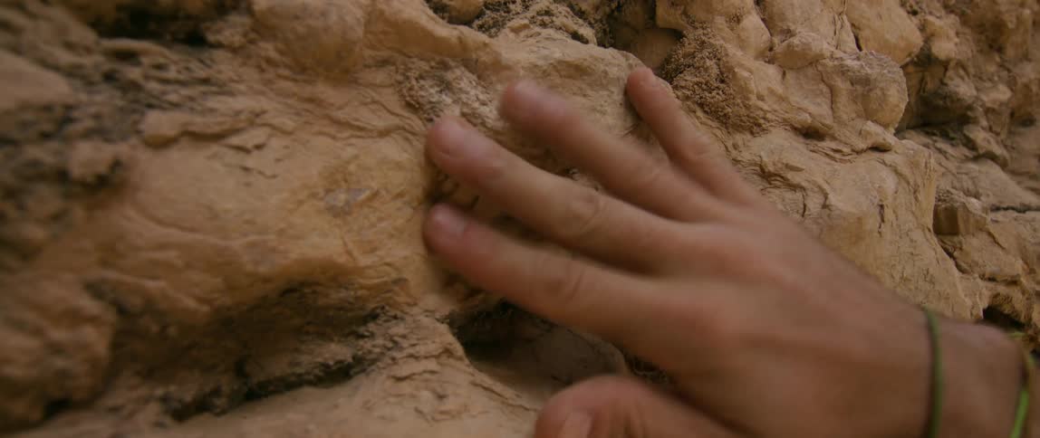 A man wipes at a fossil of a shell thats embedded in rock