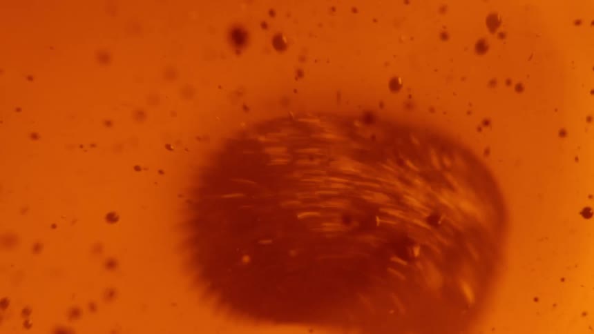 A view of bubbles in water