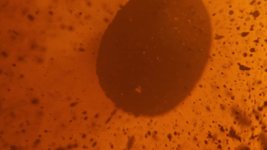 A thick red substance spins and splatters as droplets fly inward as it moves in an orange liquid atmosphere