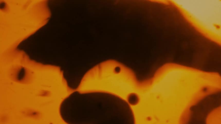 An up close of abstract liquids colors and shadows
