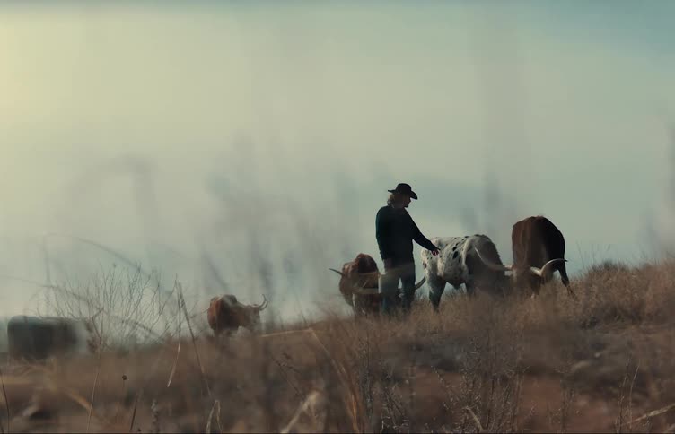 A man wearing a cowboy hat holding a bucket petting a cow eating in a pasture near other cows with horns