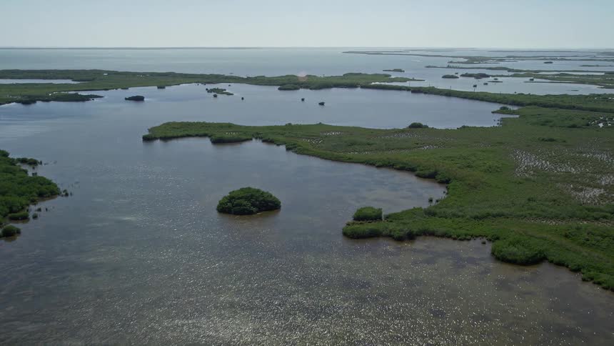 Flying over a sunny coastal lagoon abundantly covered in mangroves Homestead FL