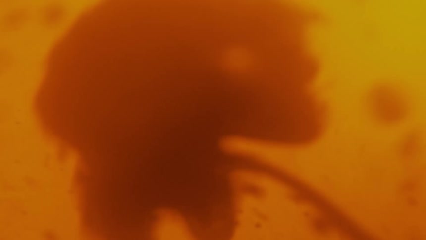 Droplets of one liquid are suspended in another swirling orange liquid