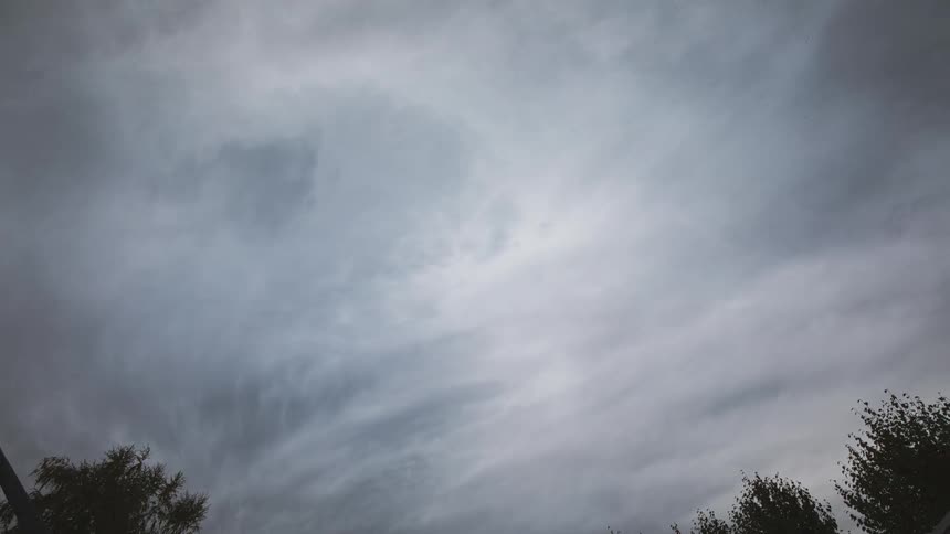 Heavy cloud cover moves across the sky and grows darker as the trees move and shake in the wind