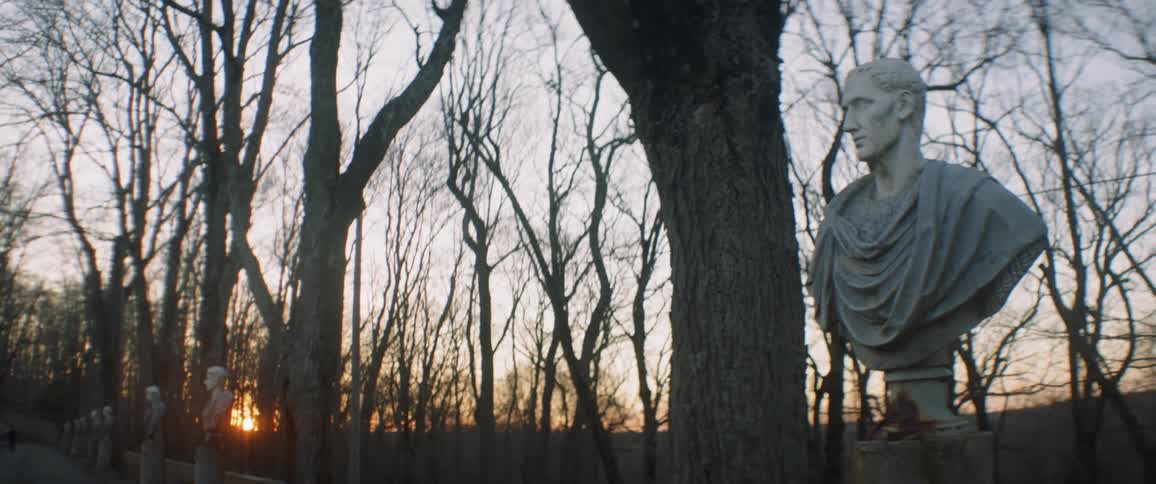 Statue outside near dead tangled trees at sunset