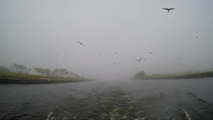 A bird flies over the creek on a cloudy day