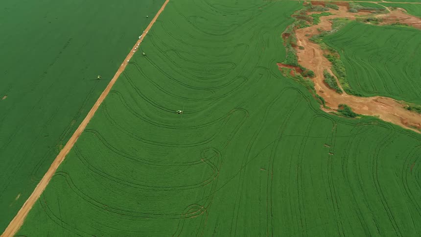 The farmland is green