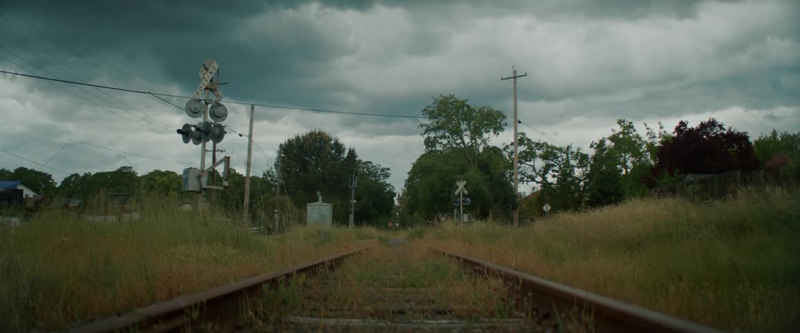 Train tracks run towards the woods