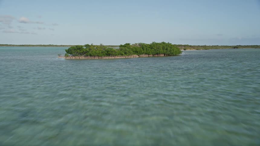 Approaching and flying over mangroves in Upper Sugarloaf Sound Florida on a sunny day