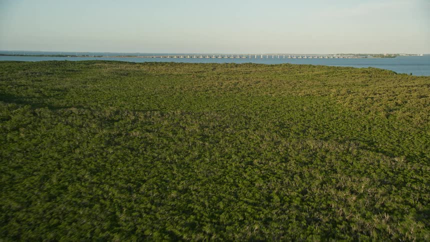 Flying over Long Keys mangroves approaching the Overseas Highway bridge during sunset with a breathtaking view of the shoreline and nature