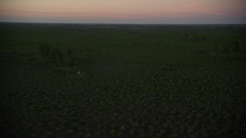Aerial footage at twilight of flying over the Southern Glades wetlands in Florida