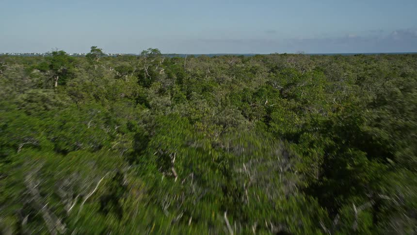 Low flying aerial view over mangroves revealing bays and marshlands in Upper Sugarloaf Key Florida