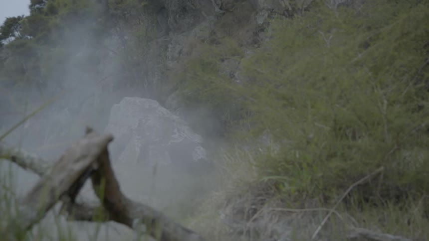 Smoke blowing through some rocks and trees