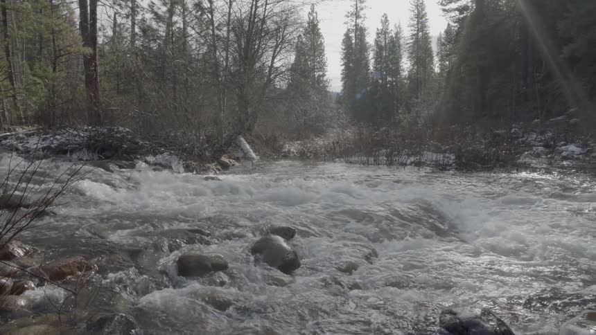 Light mists hover over a rapidly moving stream