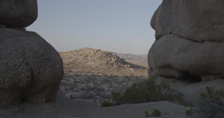 Mountains and brush in the desert