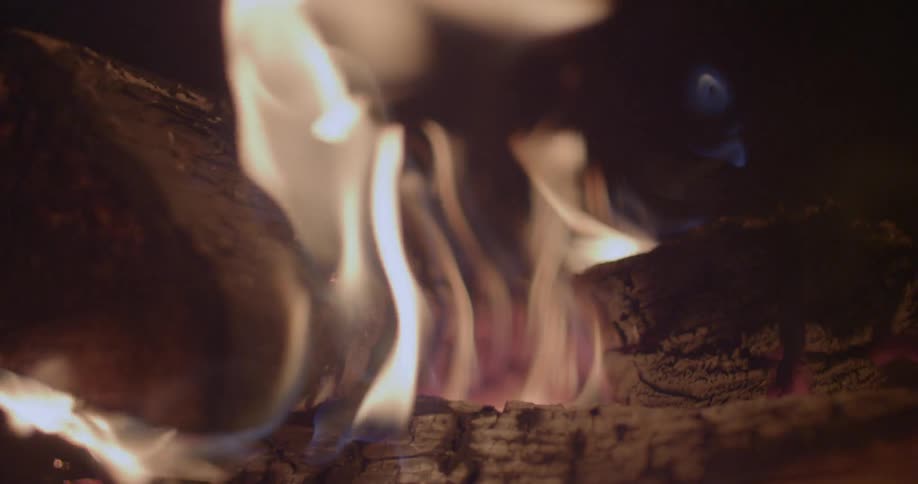 Flames curl around a burning log