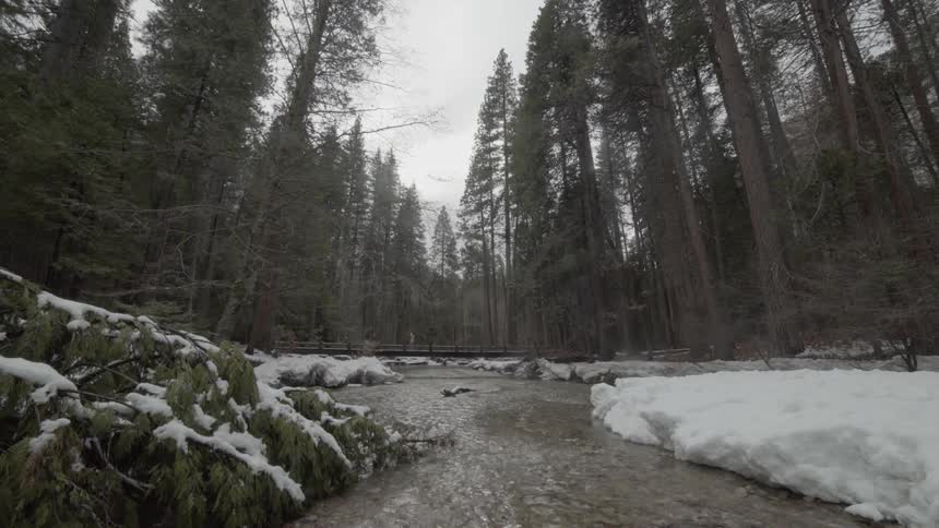 A stream in a snow-covered forest runs beneath a bridge that people are walking on