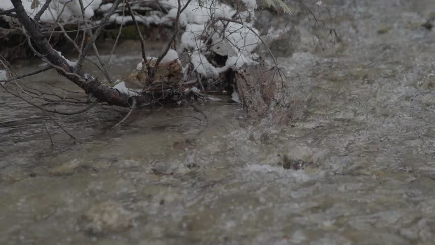 Water flowing near a snowy branch
