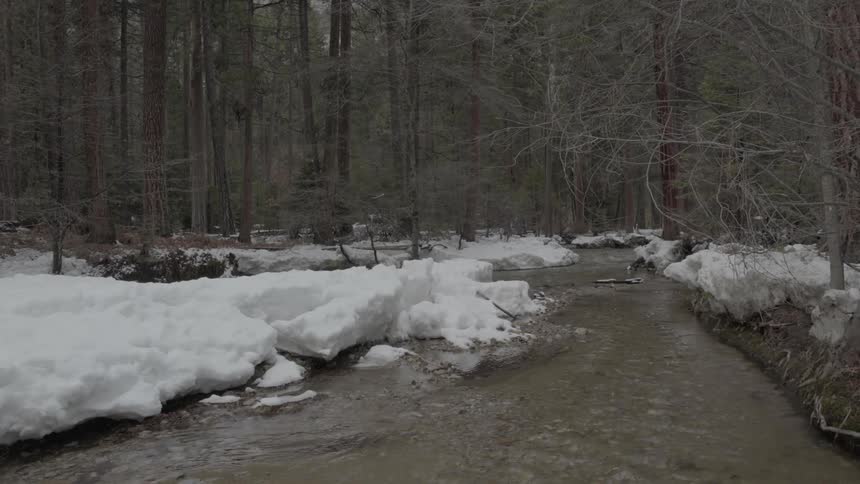 A stream running through a snow-covered forest