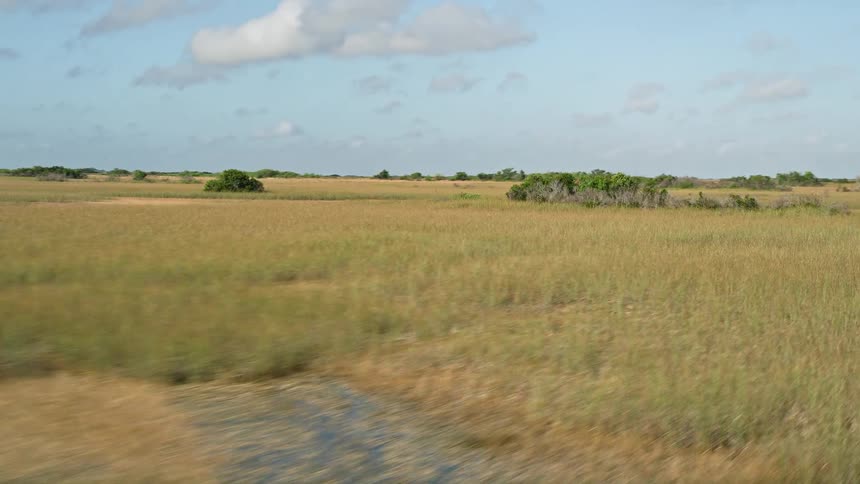 Panning aerial view of the famous Florida Everglades marshland on a partly cloudy day