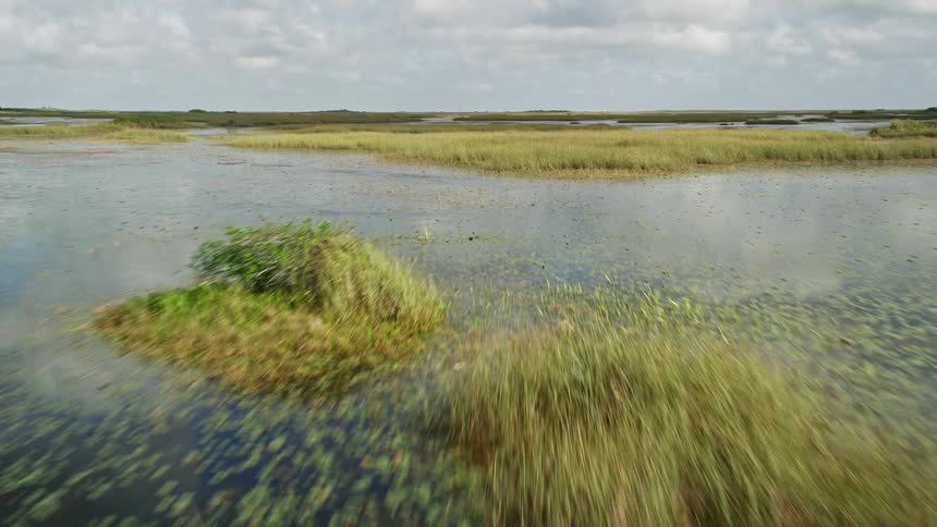 Flying low over the famous wetlands of Florida Everglades capturing the natural landmark of the sloughs in 5K aerial footage during a partly cloudy day
