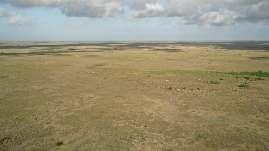 The aerial footage captures a breathtaking view of Florida Everglades marshland showcasing the natural beauty of the wetlands and its surroundings