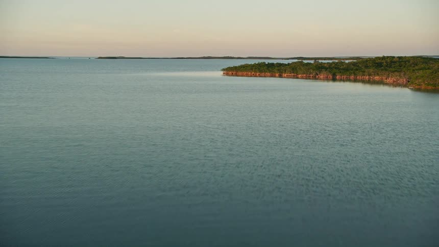 Aerial view of mangroves growing in water at sunset in Islamorada Florida